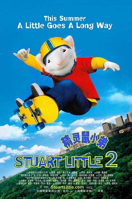 新来的教师